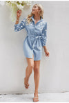 Light Blue Vintage Mini Dress