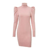 Vintage Winter Dress