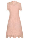 Pink Lace Vintage Dress