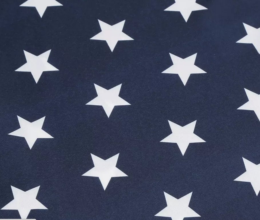 Usa Printed Pin Up Vintage Dress